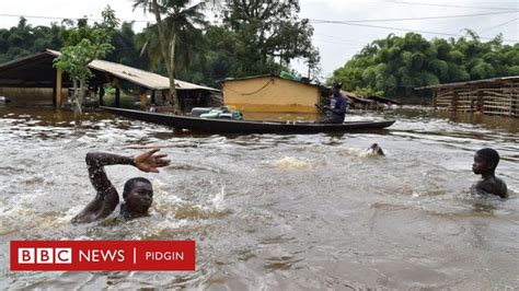 bbc world news nigeria